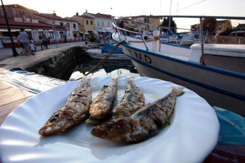 Apartments Jadranka Sain Novigrad  Pokój zdjęcie