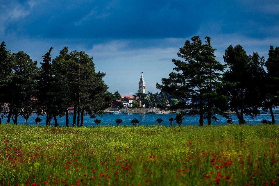 Apartments Jadranka Sain Novigrad  Pokój zdjęcie